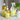 Natural Household Cleaning / Lemon Aide